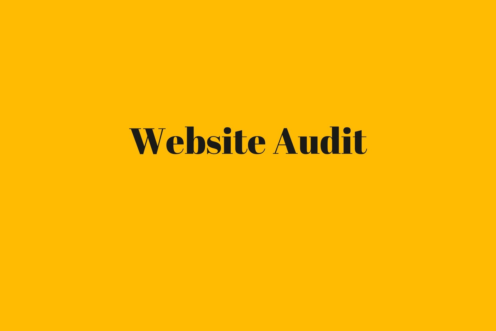 Website Audit